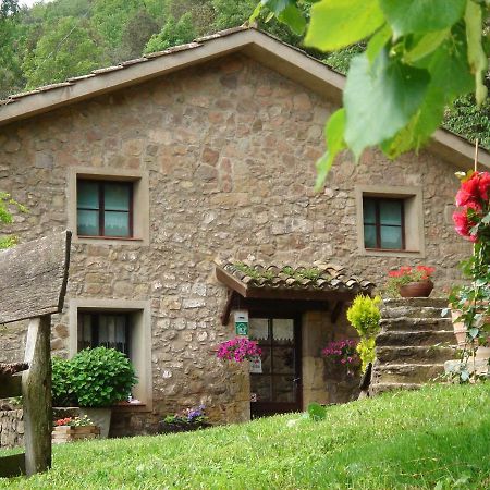 Joanetes Mas El Bosquet 빌라 외부 사진